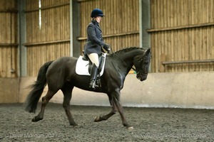 Isis Dressage Crown Farm Show 29th April 2012